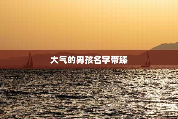 大气的男孩名字带臻