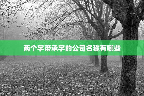 两个字带承字的公司名称有哪些
