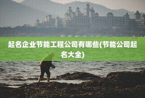 起名企业节能工程公司有哪些(节能公司起名大全)