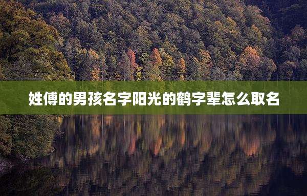 姓傅的男孩名字阳光的鹤字辈怎么取名
