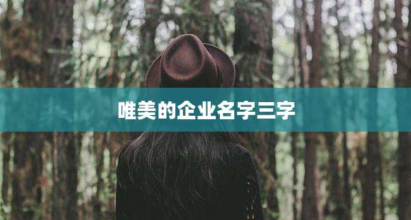 唯美的企业名字三字