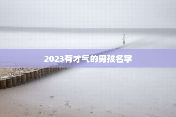 2023有才气的男孩名字