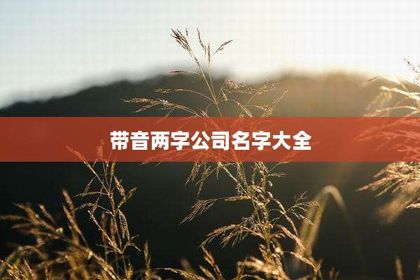 带音两字公司名字大全