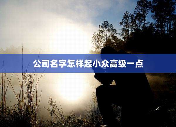公司名字怎样起小众高级一点