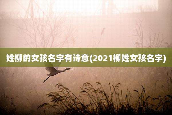 姓柳的女孩名字有诗意(2021柳姓女孩名字)