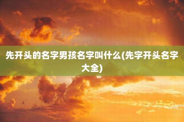 先开头的名字男孩名字叫什么(先字开头名字大全)