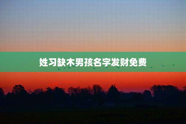 姓习缺木男孩名字发财免费