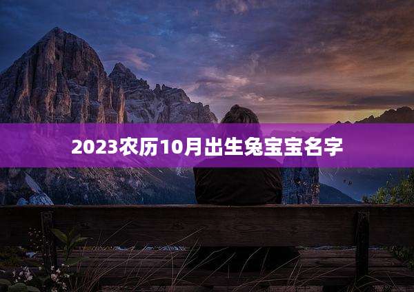 2023农历10月出生兔宝宝名字