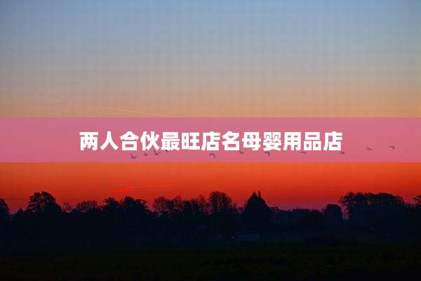 两人合伙最旺店名母婴用品店