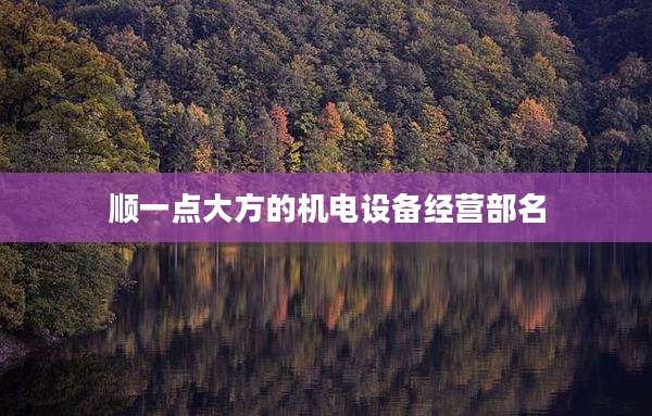 顺一点大方的机电设备经营部名