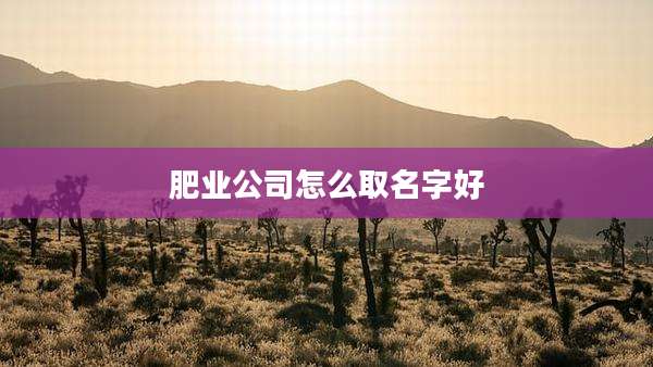 肥业公司怎么取名字好