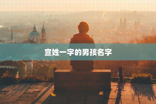 宣姓一字的男孩名字