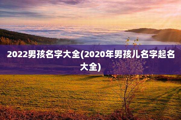 2022男孩名字大全(2020年男孩儿名字起名大全)