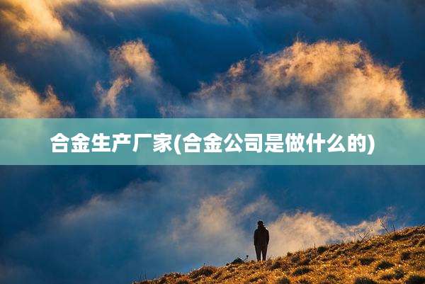 合金生产厂家(合金公司是做什么的)