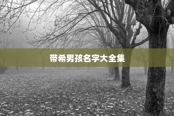 带希男孩名字大全集