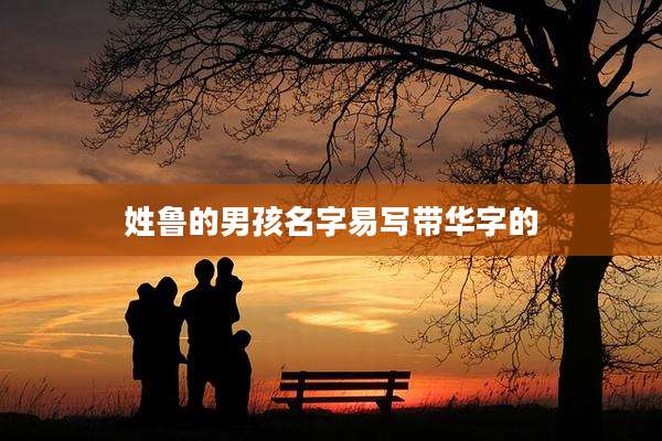 姓鲁的男孩名字易写带华字的