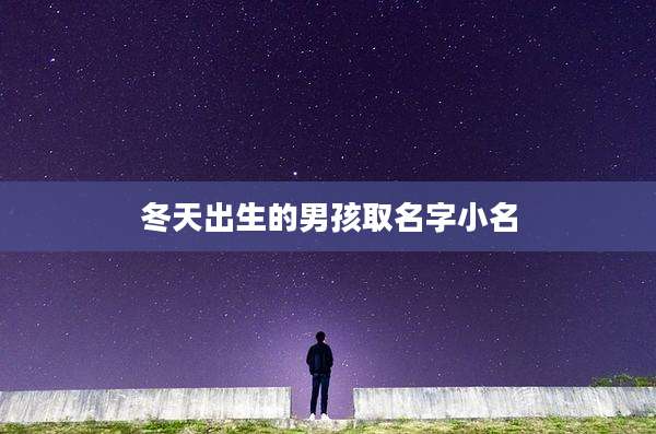 冬天出生的男孩取名字小名