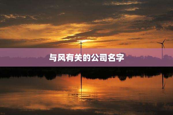 与风有关的公司名字