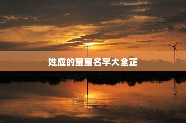 姓应的宝宝名字大全芷