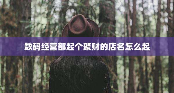 数码经营部起个聚财的店名怎么起