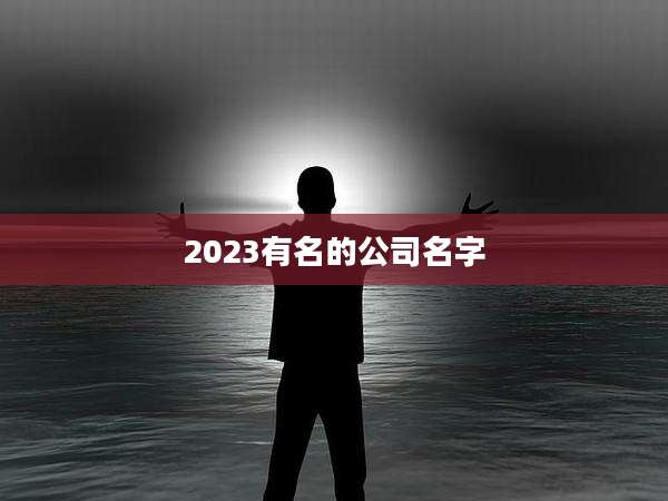 2023有名的公司名字