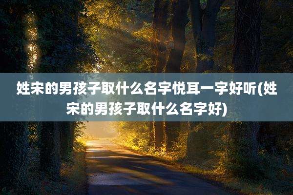 姓宋的男孩子取什么名字悦耳一字好听(姓宋的男孩子取什么名字好)
