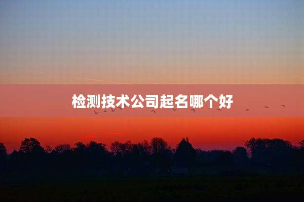 检测技术公司起名哪个好
