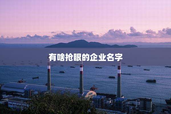 有啥抢眼的企业名字