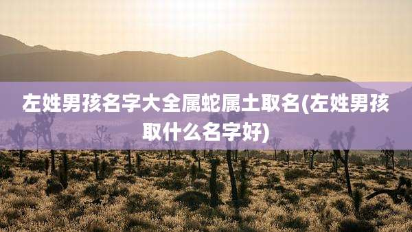 左姓男孩名字大全属蛇属土取名(左姓男孩取什么名字好)