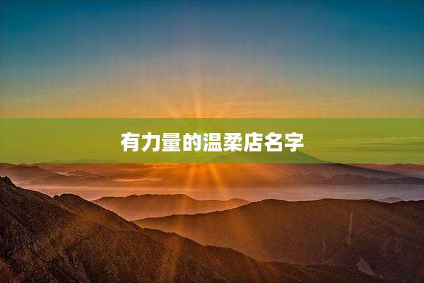 有力量的温柔店名字