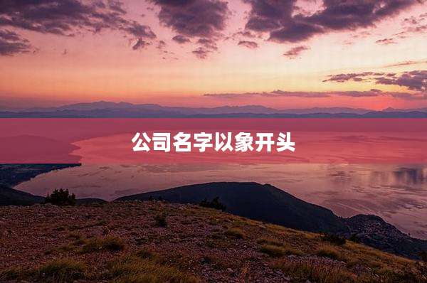 公司名字以象开头
