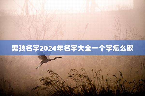 男孩名字2024年名字大全一个字怎么取