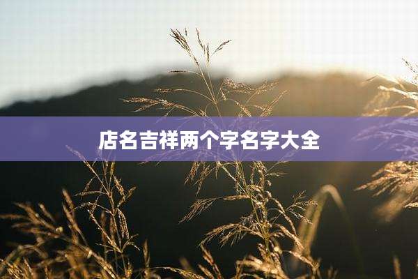 店名吉祥两个字名字大全