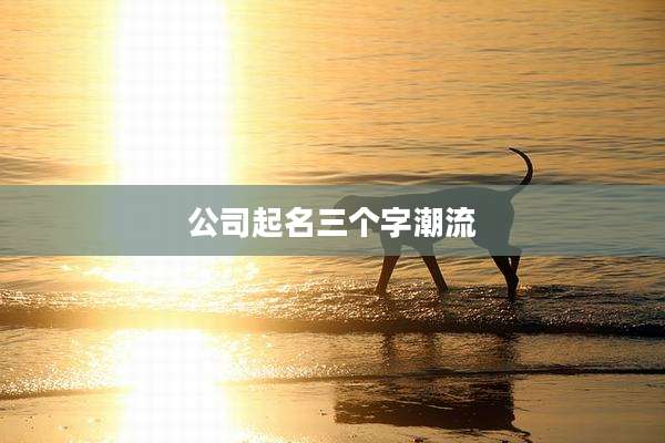 公司起名三个字潮流