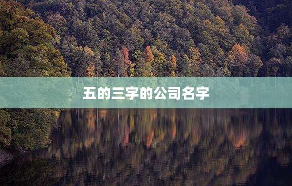 五的三字的公司名字