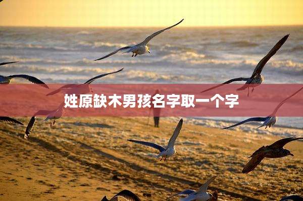 姓原缺木男孩名字取一个字