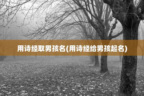 用诗经取男孩名(用诗经给男孩起名)