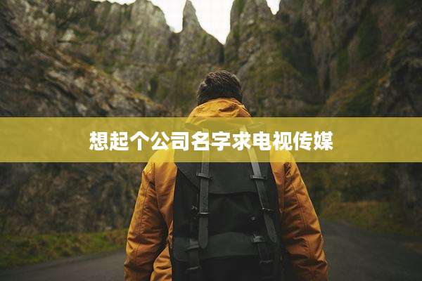 想起个公司名字求电视传媒