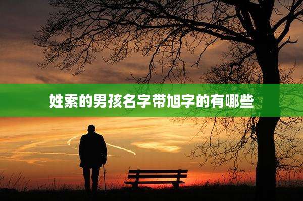 姓索的男孩名字带旭字的有哪些