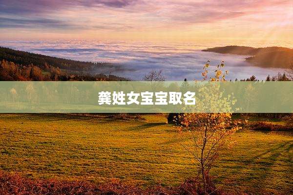 龚姓女宝宝取名