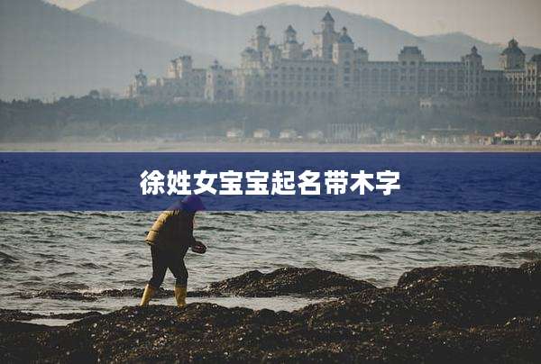 徐姓女宝宝起名带木字