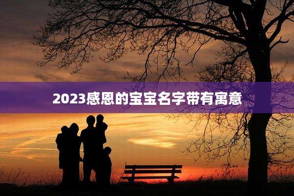 2023感恩的宝宝名字带有寓意
