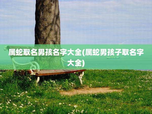 属蛇取名男孩名字大全(属蛇男孩子取名字大全)