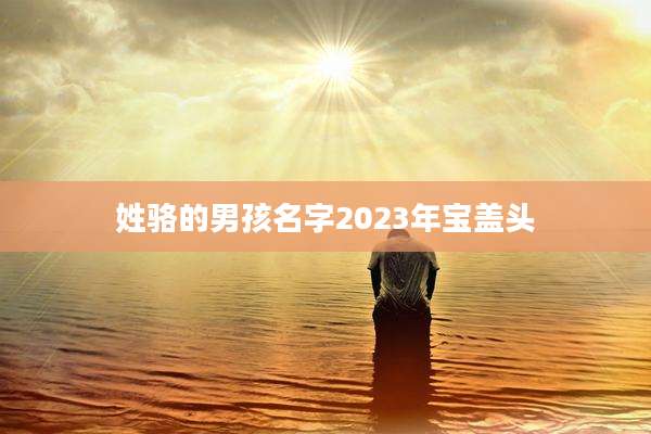姓骆的男孩名字2023年宝盖头