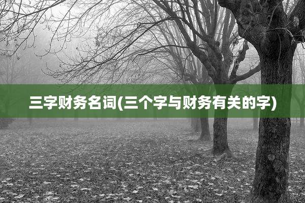 三字财务名词(三个字与财务有关的字)