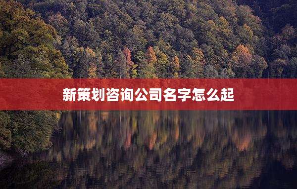 新策划咨询公司名字怎么起