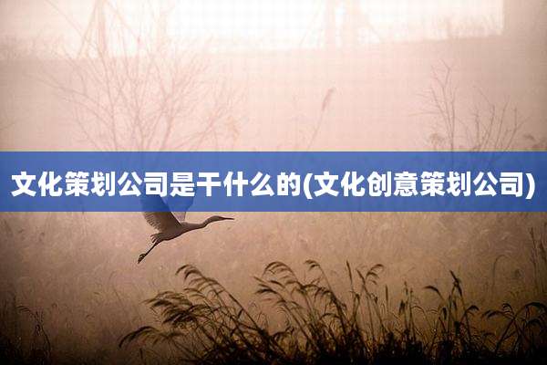 文化策划公司是干什么的(文化创意策划公司)