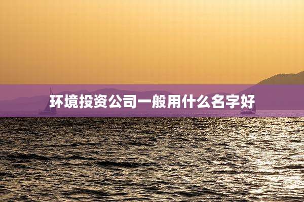 环境投资公司一般用什么名字好