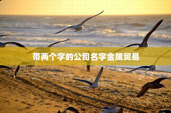 带两个字的公司名字金属贸易