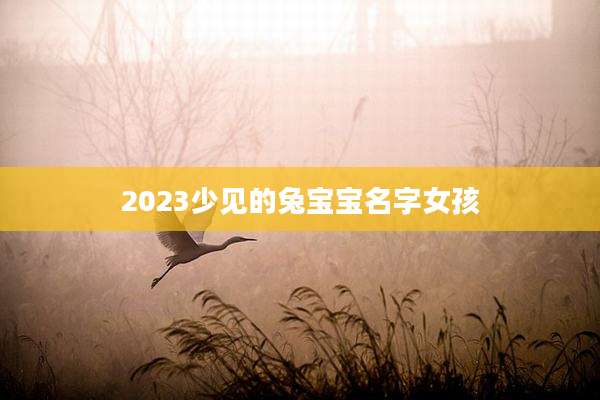 2023少见的兔宝宝名字女孩